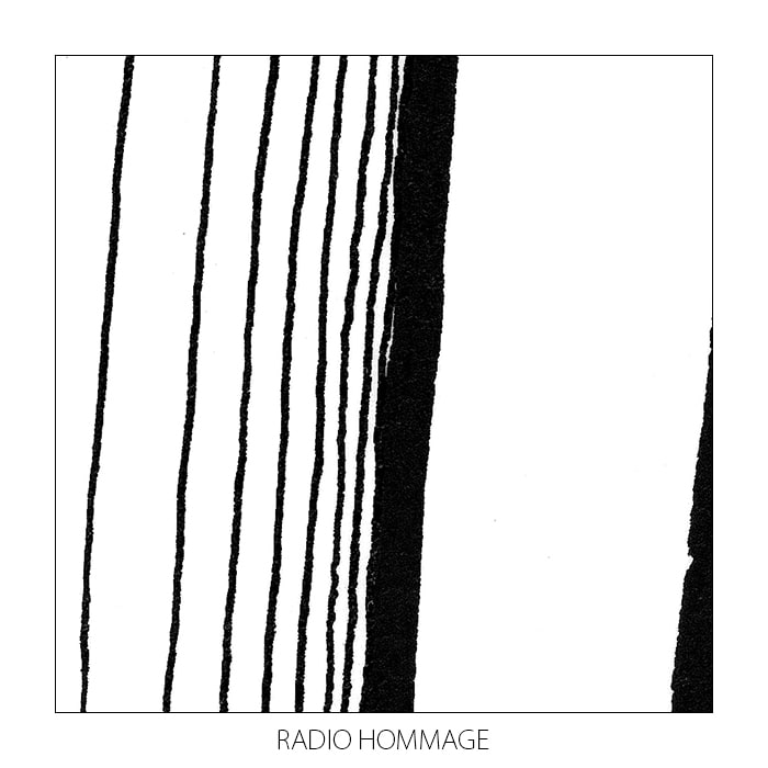 File:2014-12-26 - Monkey Safari - Radio Hommage 27.jpg