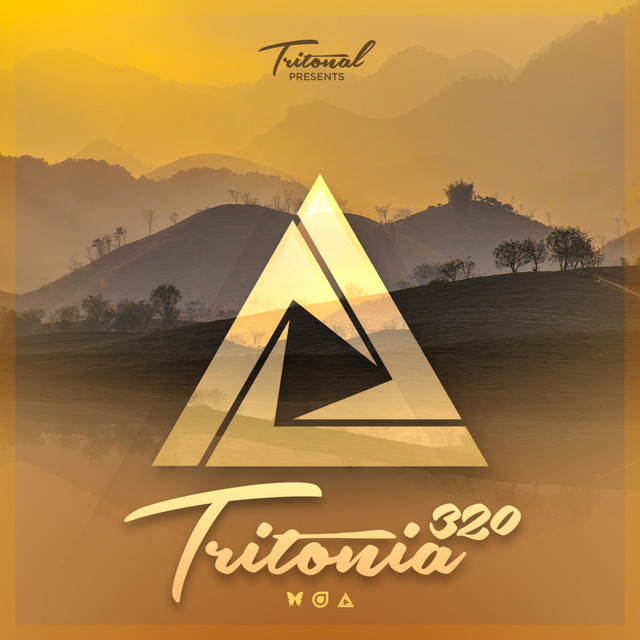 File:2020-10-21 - Tritonal - Tritonia 320.jpg
