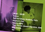 2009-07-10 - Vakula, Theo Parrish @ RBMA Party, Propaganda …