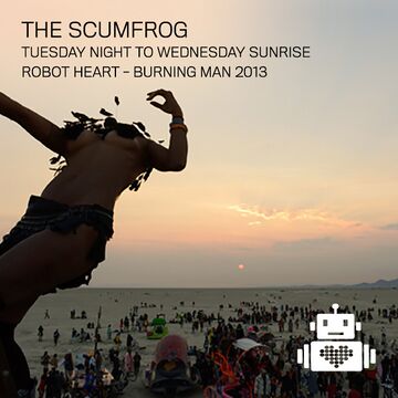 2013-08-27 - Robot Heart, Burning Man.jpg