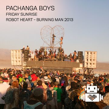 2013-08-30 - Robot Heart, Burning Man -2.jpg