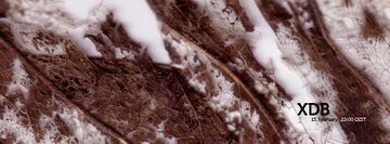 2014-02-15 - studio r°.jpg
