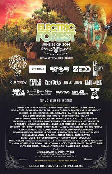 2014-06-2X - Electric Forest.jpg