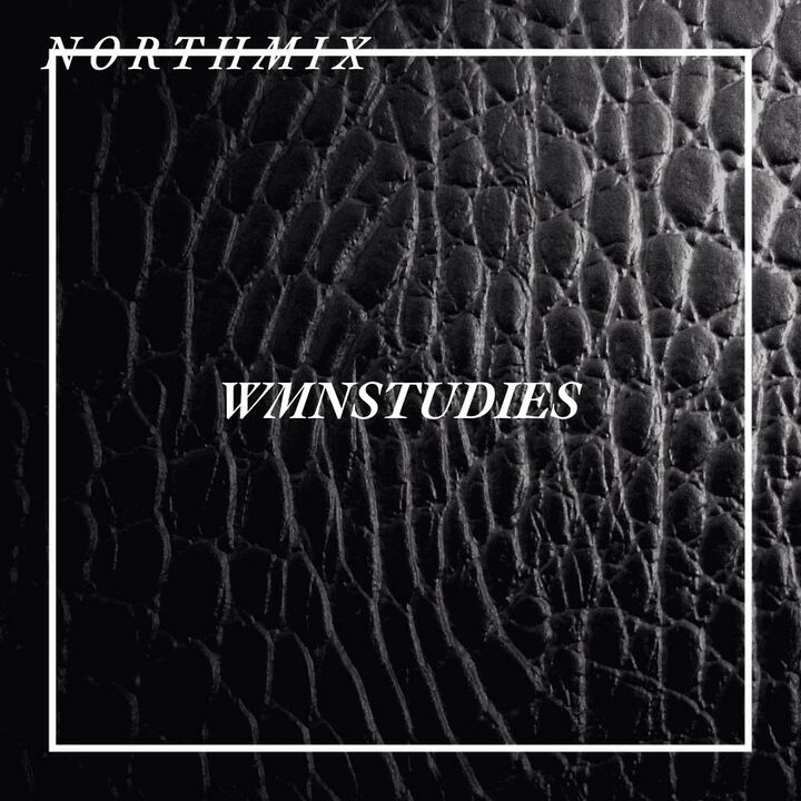 File:2014-07-16 - WMNSTUDIES - Northmix.jpg