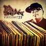 2015-05-06 - DJ Sneak - Vinylcast 23.jpg