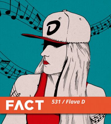 2016-01-11 - Flava D - FACT Mix 5.jpg