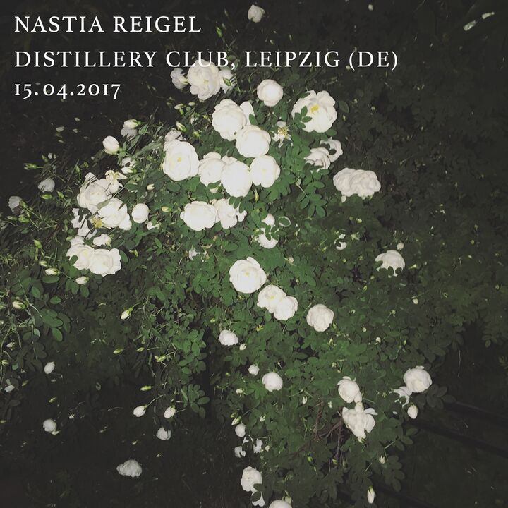 File:2017-04-15 - Nastia Reigel @ Distillery.jpg
