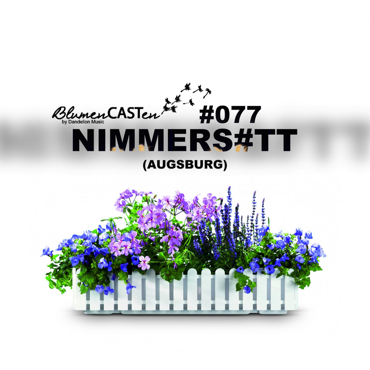 File:2017-05-12 - NIMMERS.png