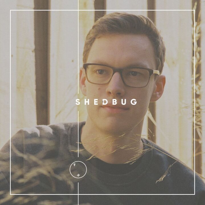 File:2018-04-17 - Shedbug - FH.jpg