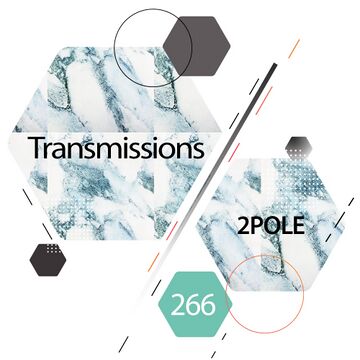 2019-01-29 - 2pole - Transmissions 266.jpg