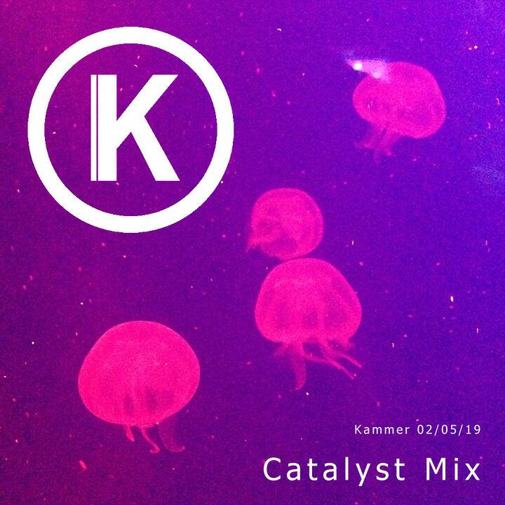 File:2019-05-02-Kammer-Catalyst-Mix.jpg