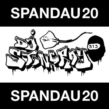 2020-10-04 - DJ Stingray - SPND20 Mixtape.jpg