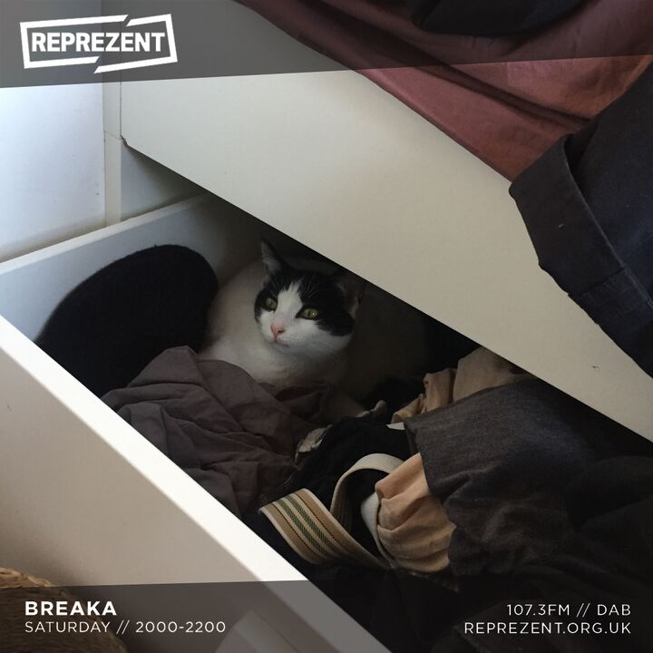 File:2021-04-24 - Breaka - Reprezent.jpg