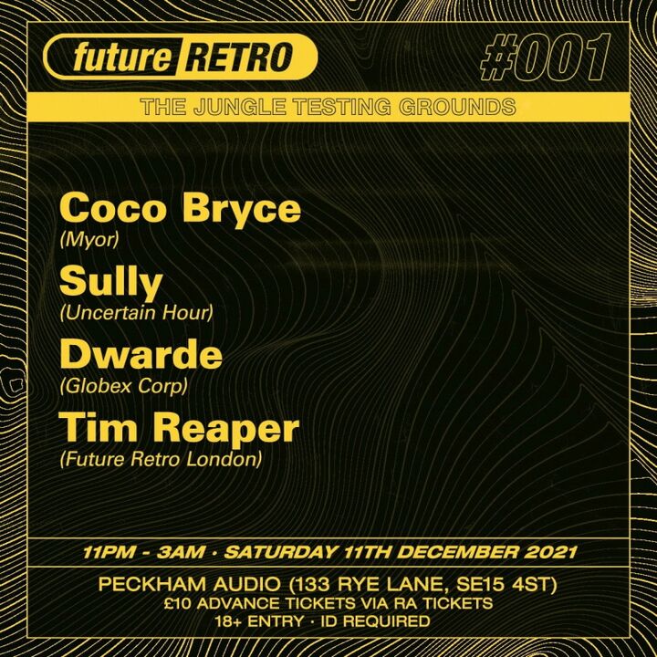 File:2021-12-11 Future Retro 1 2.jpg