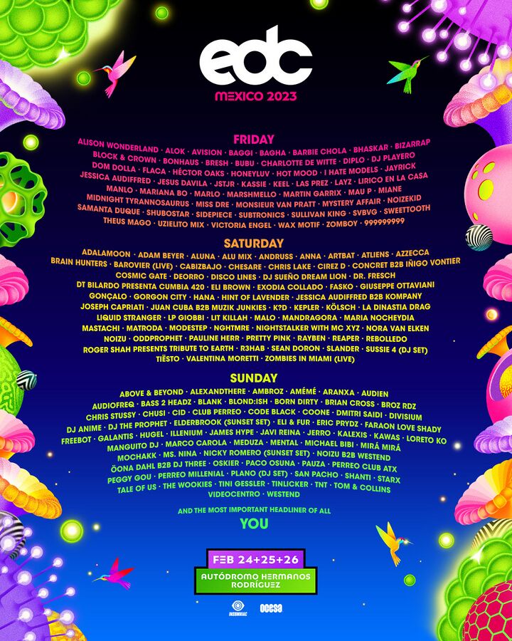 File:2023-02-2X - EDC Mexico.jpg