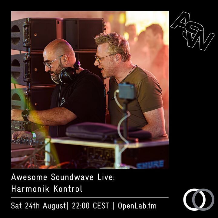 File:2024-08-24 - Awesome Soundwave Live 030.jpg