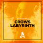 2025-08-21 - Crows Labyrinth - Stookcast 419.jpg
