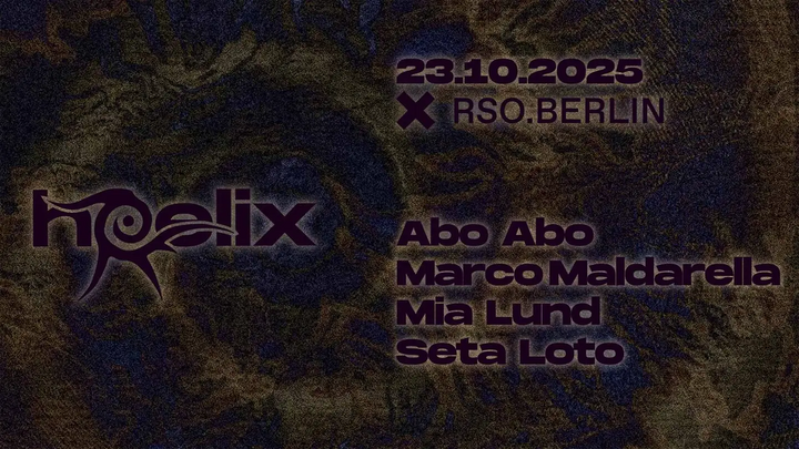 File:2025-10-23 - HEELIX, RSO Berlin.webp