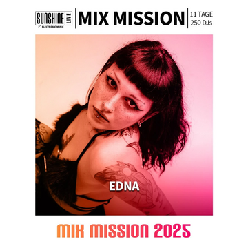 2025-12-28 - Edna - Mix Mission.webp