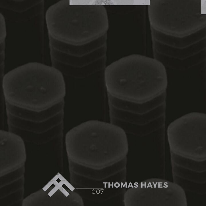 File:Hayes.jpg
