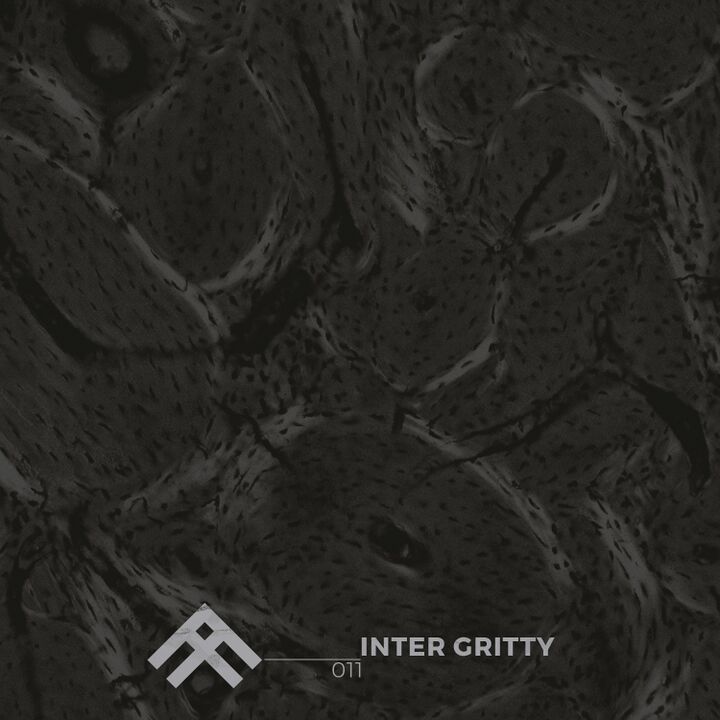 File:InterGritty.jpg