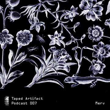 Taped Artifact Podcast 007 - Merv.jpg