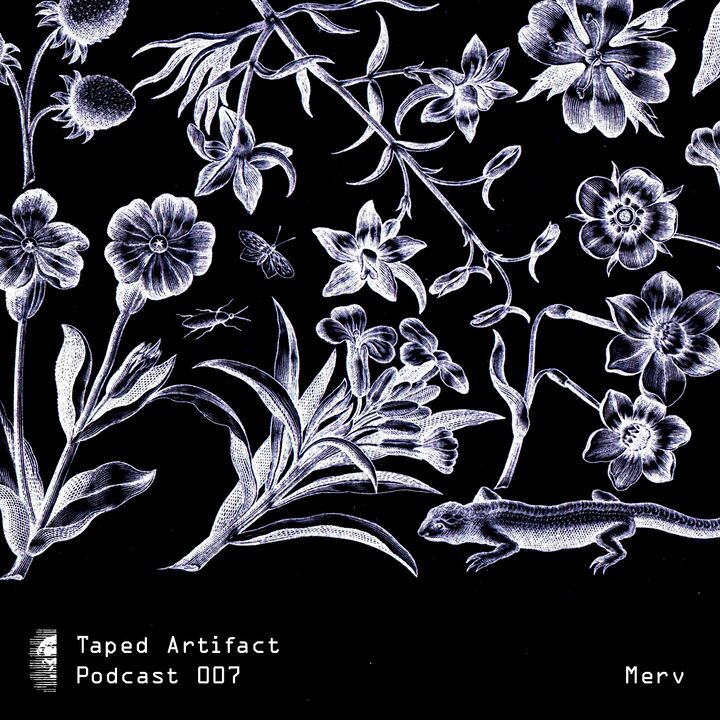 File:Taped Artifact Podcast 007 - Merv.jpg