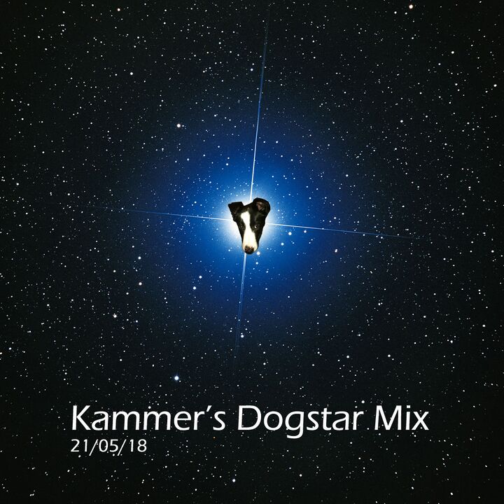 File:kammer-dogstar-mix.jpeg
