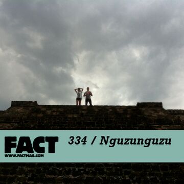 nguzufactmix.jpg