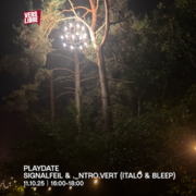 2025-10-11 - DJ Signalfeil, intro.vert @ Playdate, Vers Libre